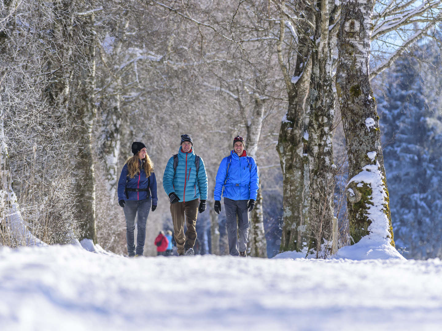 Ausflug an die Mittelmosel inkl. 4-Gang Genuss-Menü im Winter