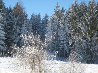 Ausflug an die Mittelmosel inkl. 4-Gang Genuss-Menü im Winter 2