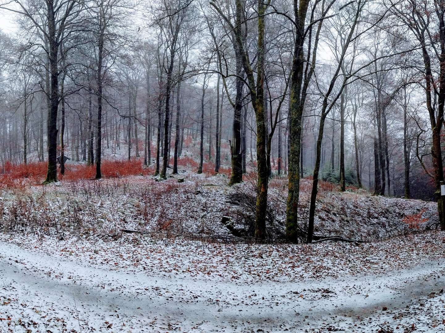 Auszeit in Winterberg inkl. HP!