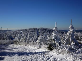 6 Tage Wellnessurlaub im Erzgebirge - inkl.  Halbpension & Silbertherme 