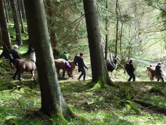 Martinszeit ist Genießerzeit am Rothaarsteig