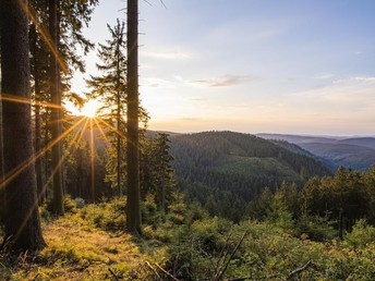 Martinszeit ist Genießerzeit am Rothaarsteig