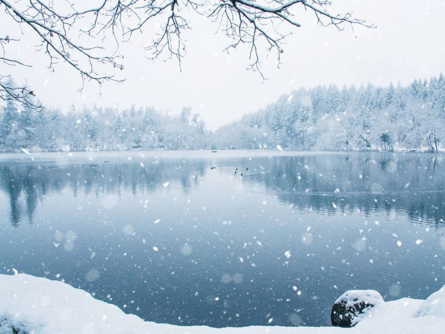 Wunderbare Weihnachtszeit im Saarland - 4 Tage