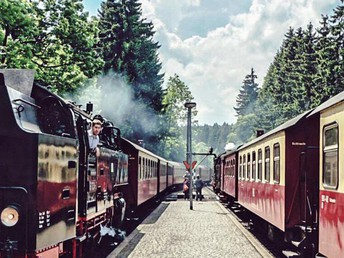 Zeit der Zweisamkeit für 3 Tage im Harz