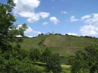 Weinbergspfirsich-Blüte an der Mosel im Weinhotel Lenz inkl. Weinprobe & Planwagenfahrt