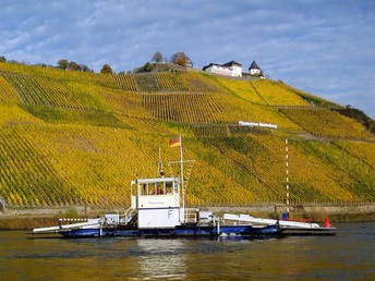 Weinbergspfirsich-Blüte an der Mosel im Weinhotel Lenz inkl. Weinprobe & Planwagenfahrt