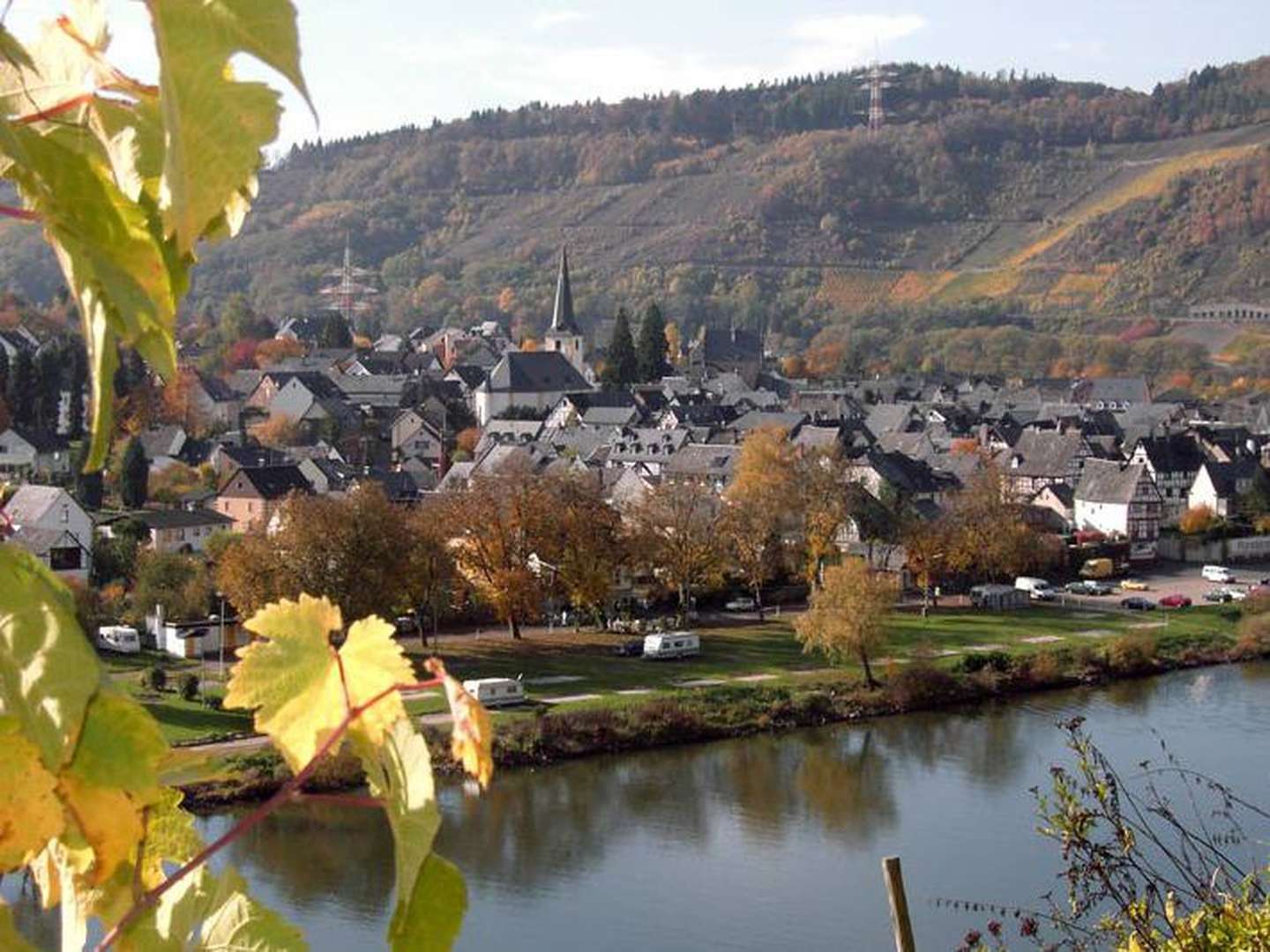 Weinbergspfirsich-Blüte an der Mosel im Weinhotel Lenz inkl. Weinprobe & Planwagenfahrt