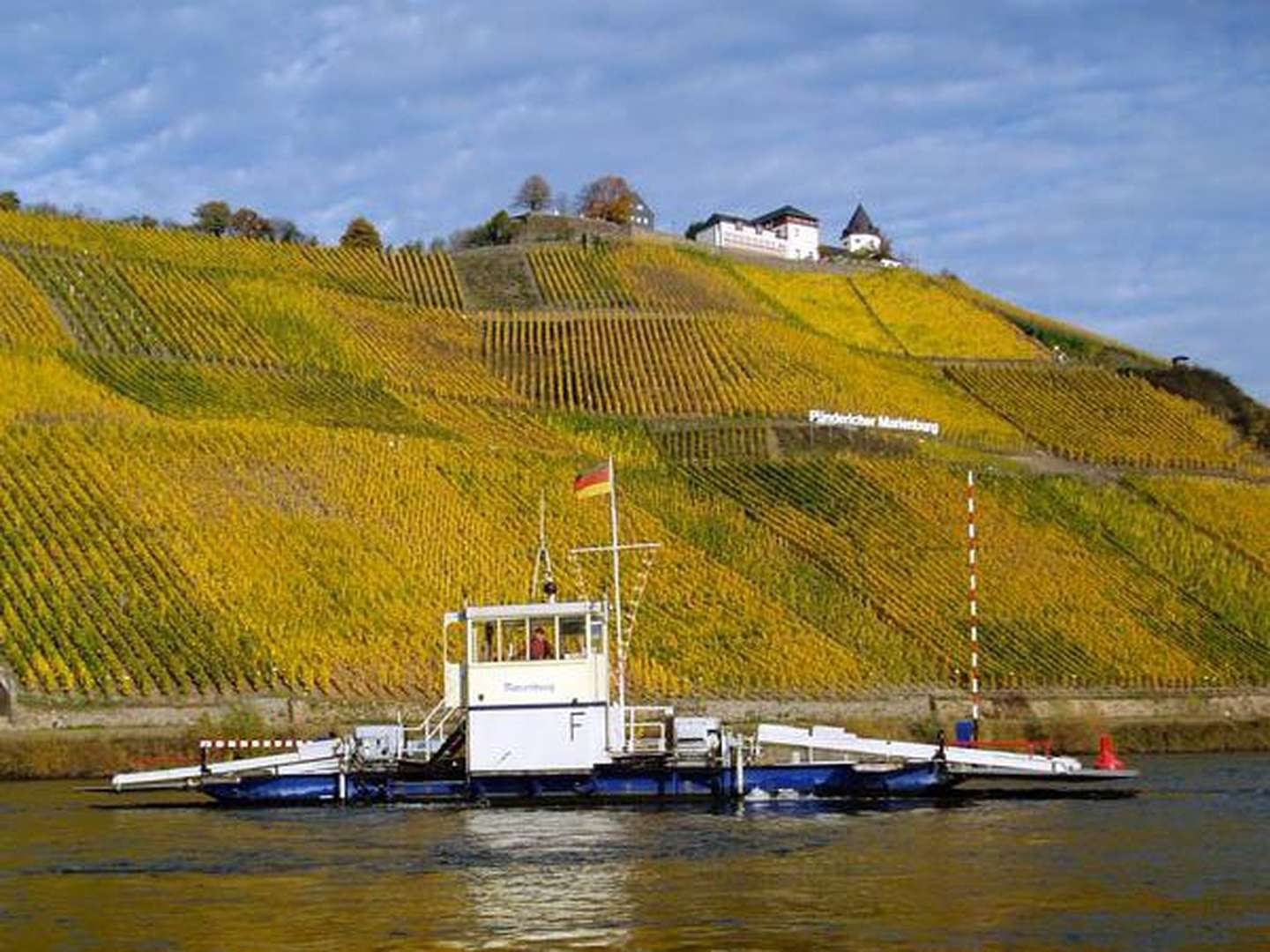 Weinbergspfirsich-Blüte an der Mosel im Weinhotel Lenz inkl. Weinprobe & Planwagenfahrt