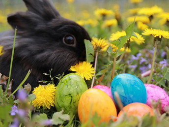 Ostern an der Mosel