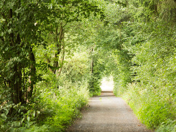 Gourmet - Kurzreise inmitten naturbelassener Umgebung - 3 Tage im Westerwald