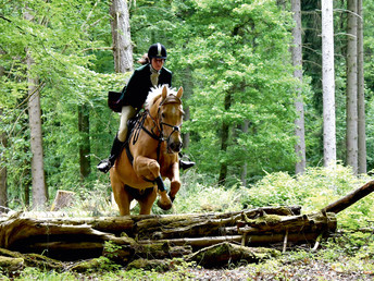 Gourmet - Kurzreise inmitten naturbelassener Umgebung - 3 Tage im Westerwald