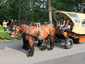 Gourmet - Kurzreise inmitten naturbelassener Umgebung - 3 Tage im Westerwald