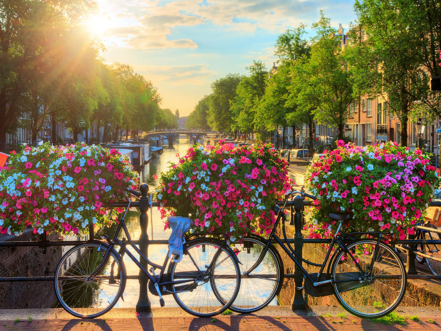 Drei Tage Amsterdam Fahrradpaket