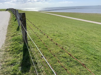 Kurzurlaub an der Nordsee inkl. Fährticket Hallig Langeness