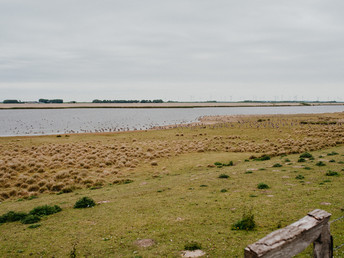 Kurzurlaub an der Nordsee inkl. Fährticket Hallig Langeness