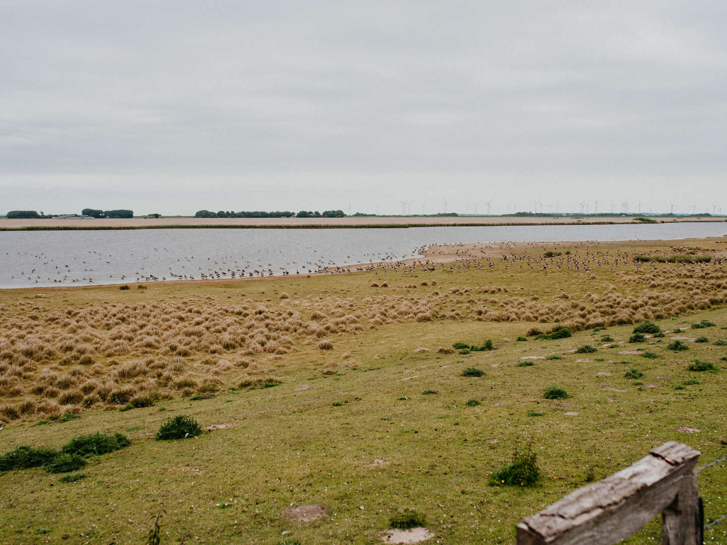 Kurzurlaub an der Nordsee inkl. Fährticket Hallig Langeness