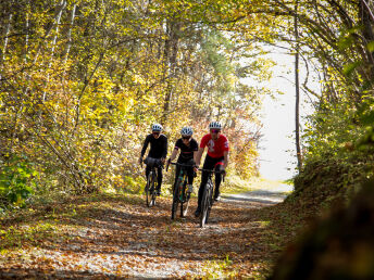 Radfahren in Kärnten - E-Bike Urlaub inkl. Radtaxi & Leih-E-Bike