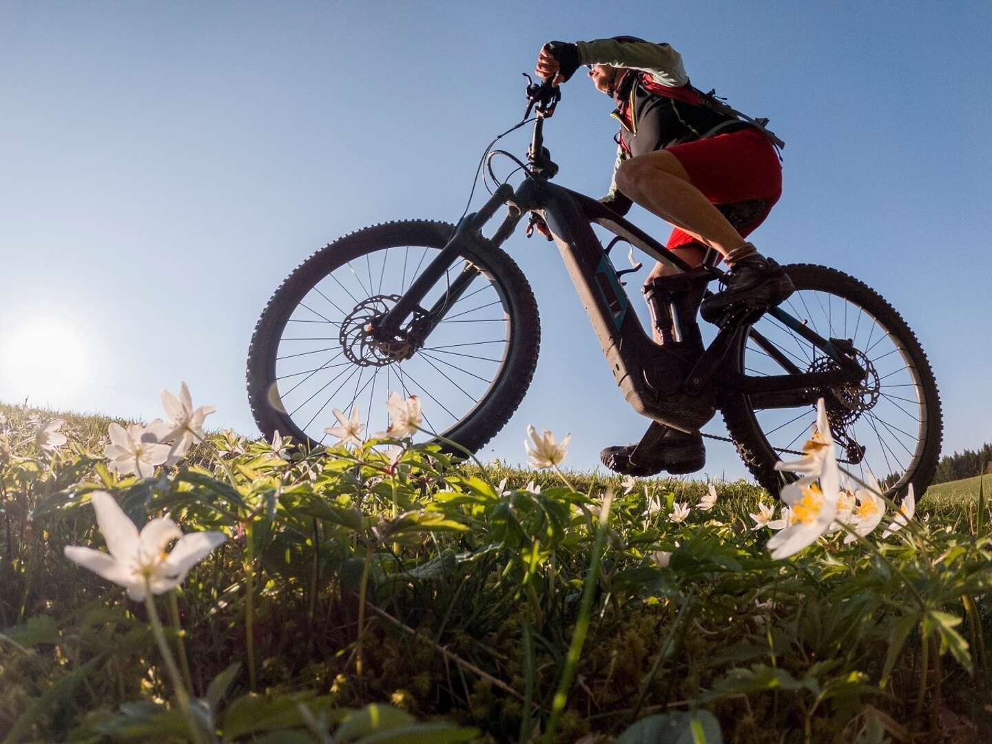 Mountainbike Urlaub inkl. Frühstück | 4 Nächte    