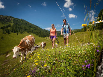 Mountainbike Kurzurlaub inkl. E-Bike im Lammertal am Tennengebirge