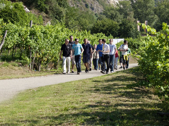 Wine-Week Kulinarik & Genuss in der Wachau | 2 Nächte  