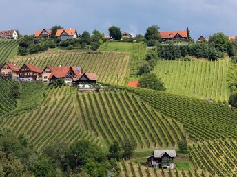 Auszeit im steirischen Schilcherland inkl. Genießerfrühstück & Stainzerhof Plus Card | 7 Nächte