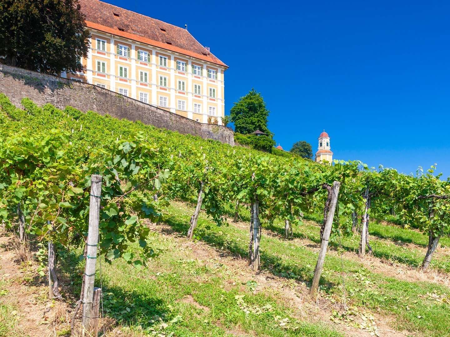 Auszeit im steirischen Schilcherland inkl. Genießerfrühstück & Stainzerhof Plus Card | 5 Nächte