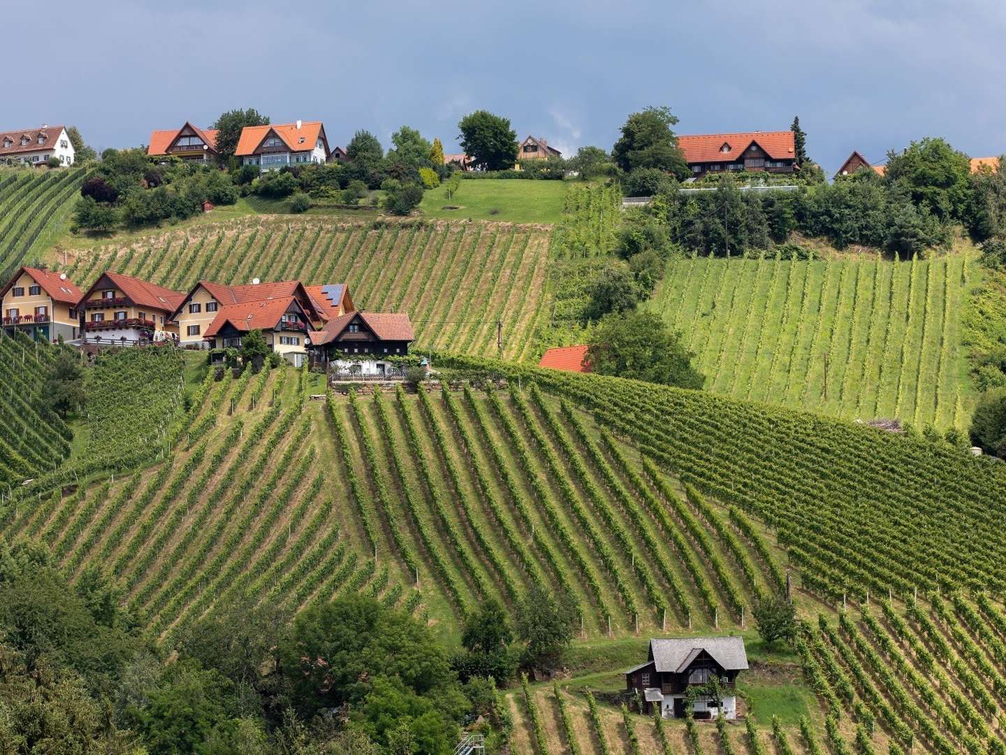 Auszeit im steirischen Schilcherland inkl. Genießerfrühstück & Stainzerhof Plus Card | 5 Nächte