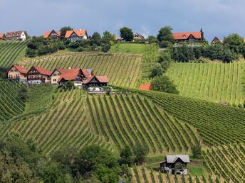 Auszeit im steirischen Schilcherland inkl. Genießerfrühstück & Stainzerhof Plus Card | 4 Nächte