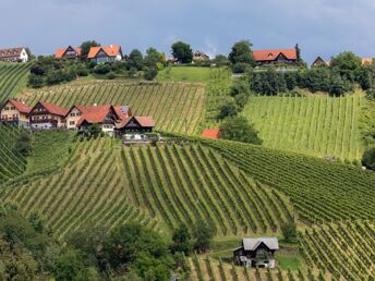  Auszeit im steirischen Schilcherland inkl. Genießerfrühstück & Stainzerhof Plus Card | 2 Nächte