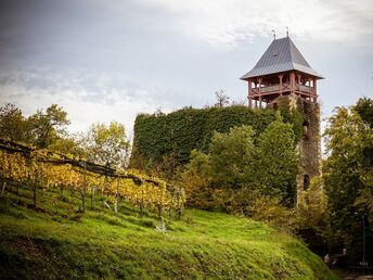 Familienurlaub in der Steiermark mit großen Erlebnisspielplatz | 5 Nächte