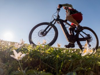 8 Tage RAD-Genuss im südoststeirische Weinland inkl. Frühstück