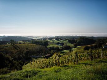 Genuss & Auszeit inkl. 5x Abendessen in der Grünen Steiermark | 5 Nächte