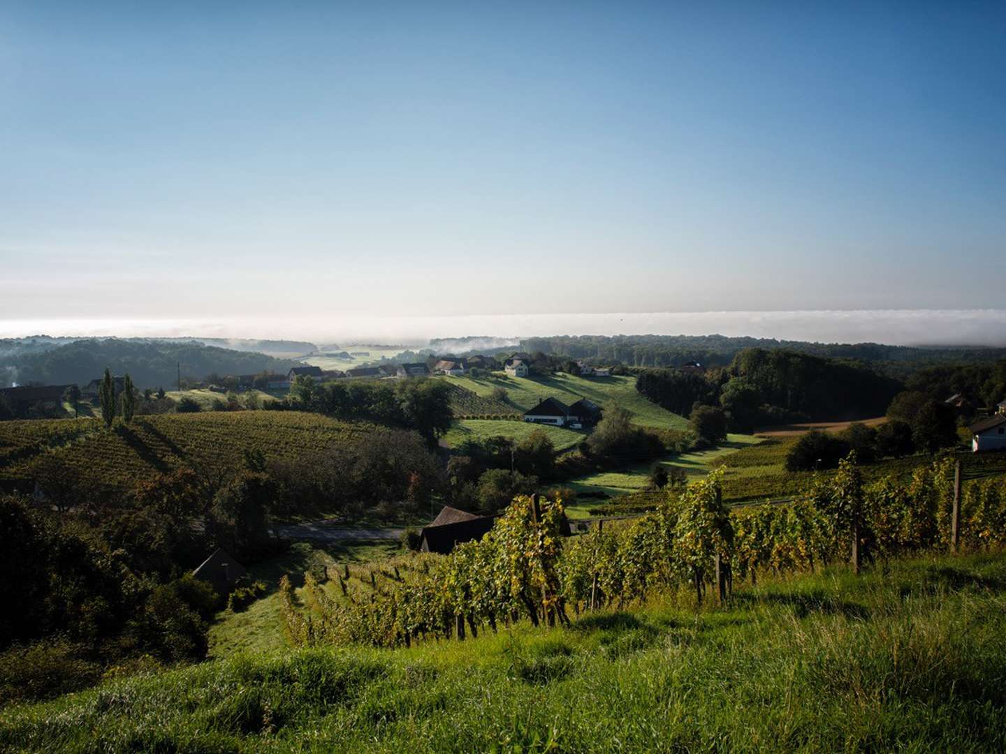 Genuss & Auszeit inkl. 5x Abendessen in der Grünen Steiermark | 5 Nächte