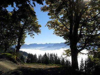 Aktivauszeit in den Tiroler Bergen inkl. Halbpension | 4 Nächte