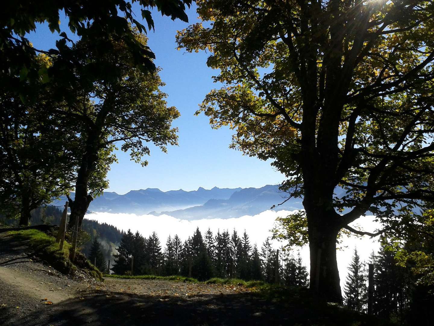 Aktivurlaub in den Kitzbüheler Alpen inkl. Halbpension | 4 Nächte