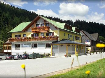 Lamatrekking-Schnuppertour im Bergdorf Hirschegg