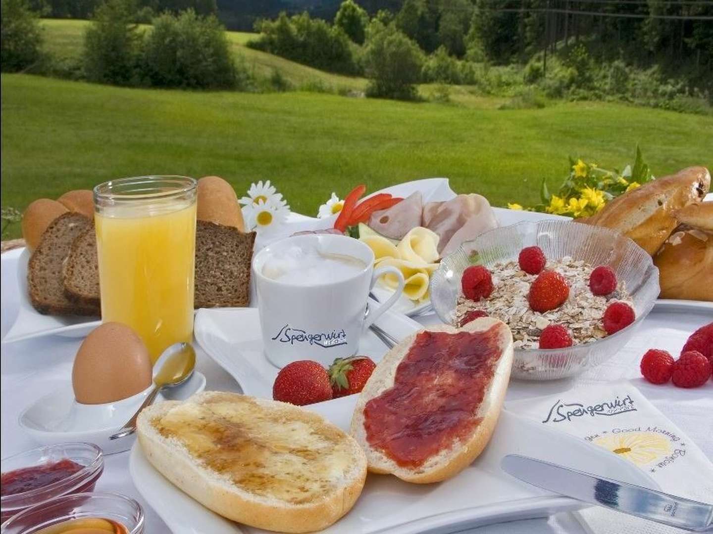 Auszeit auf der Alm in der Steiermark inkl. Abendessen | 1 Nacht