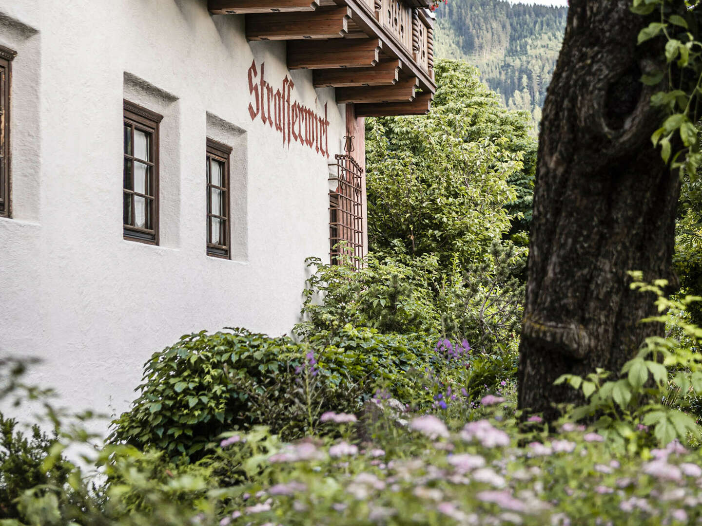 Auszeit im Traditionshotel mit Genusspension | 6 Nächte