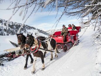 Kids on SKI | inkl. 1 Kind bis 5,9 gratis & Wohlfühl VOLLpension| 7 Nächte