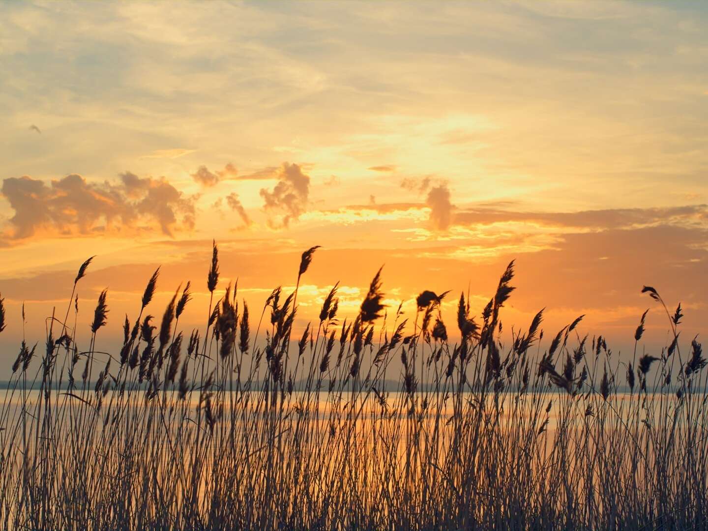 Bunter Herbst am Neusiedler See | 5 Tage inkl. Leihfahrrad 