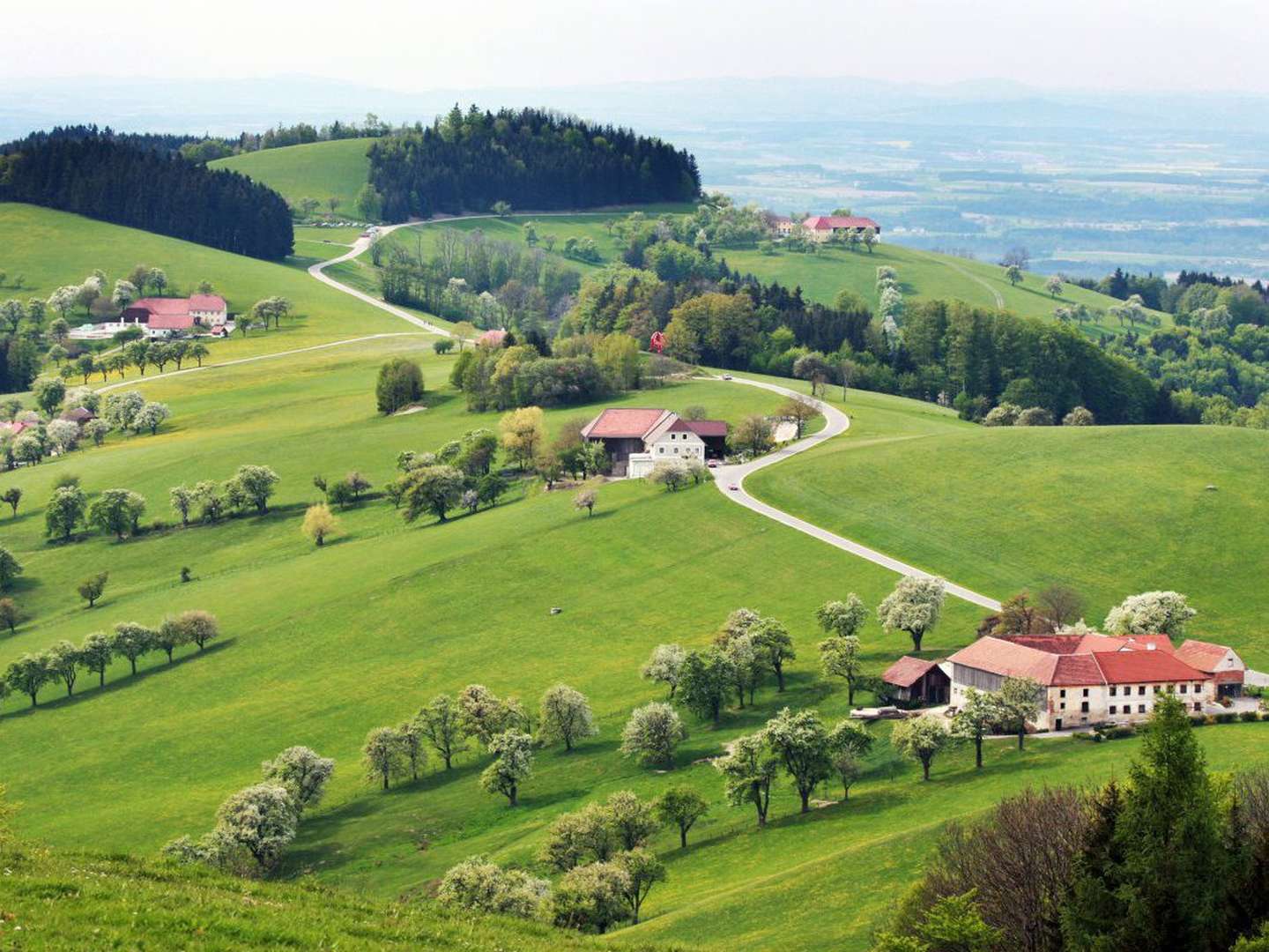 Genuss pur - Zauberhafte Schlosszeit mit Wellness & Dinner | 2 Nächte