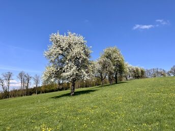 Entspannungsurlaub - Ruhe & Natur im Mostviertel | 4 Nächte