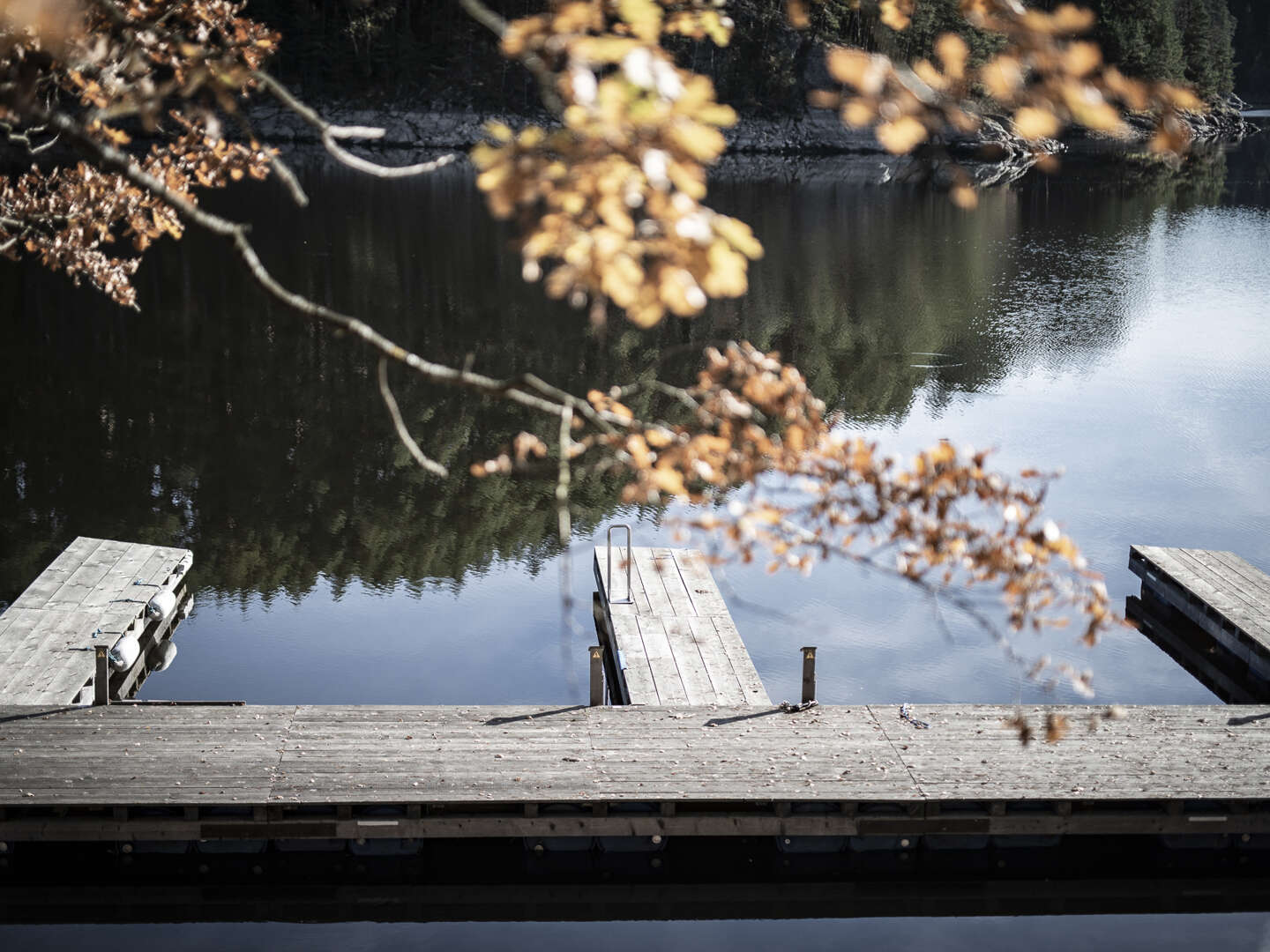 4=3 Relax-Special im Waldviertel mit Kulinarik-Verwöhnprogramm