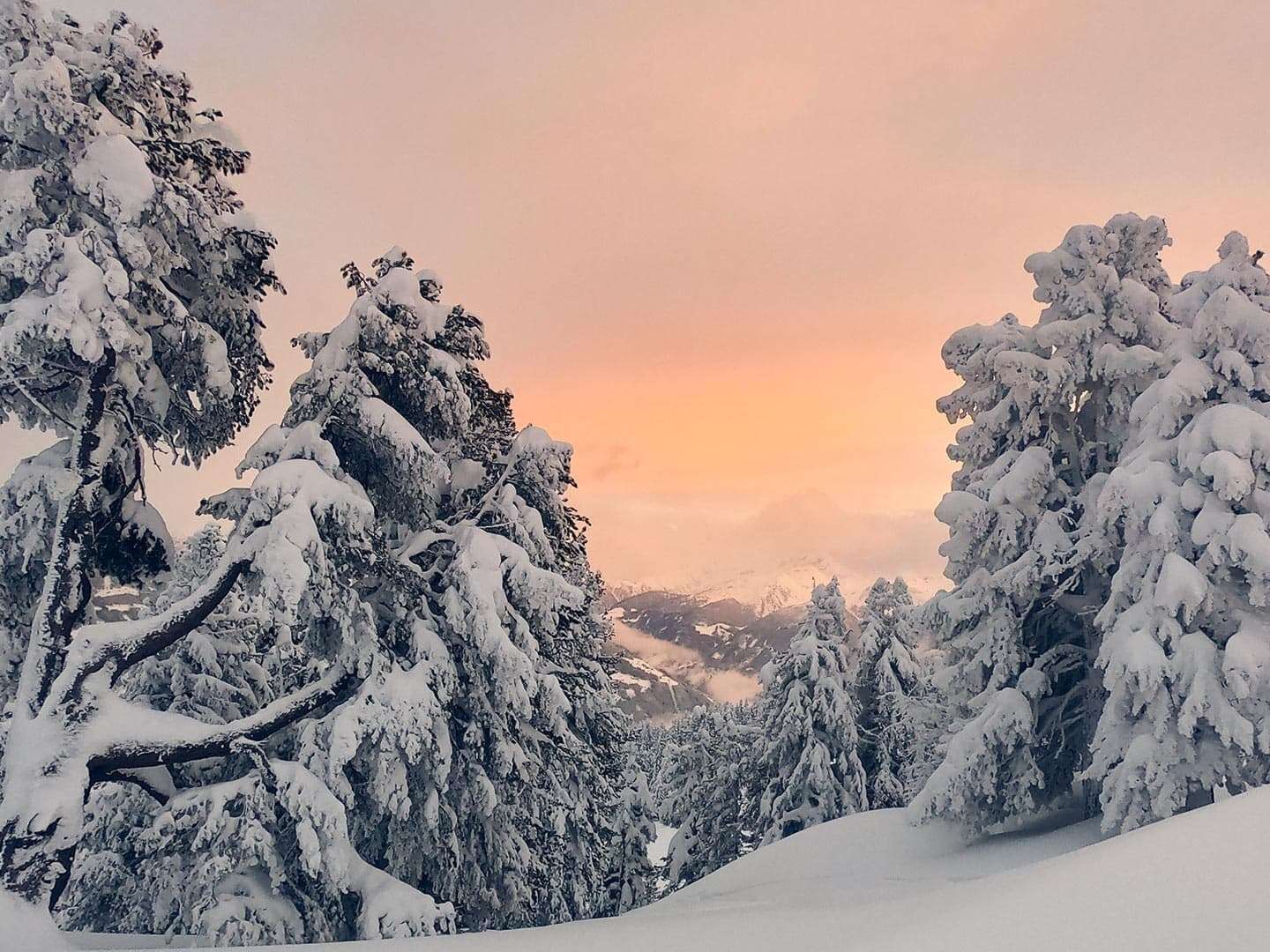 Skiopening im Zillertal inkl. Wellness | 3 Nächte