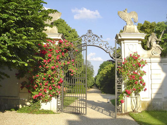 Schlossromantik im Burgenland | inkl. Eintritt in die St. Martins Therme