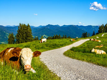 Lastminute/April Ländliche Harmonie & gelebte Tradition im Landhotel in der Oststeiermark | 5 Tage 