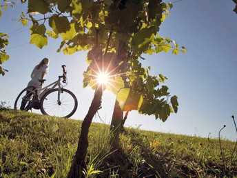 4 Tage Kurzurlaub | Panoramahof Loipersdorf