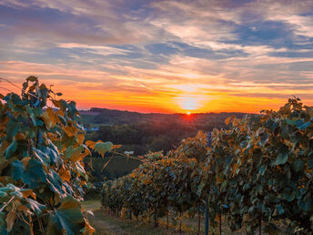 5 Tage Kurzurlaub|Panoramahof Loipersdorf