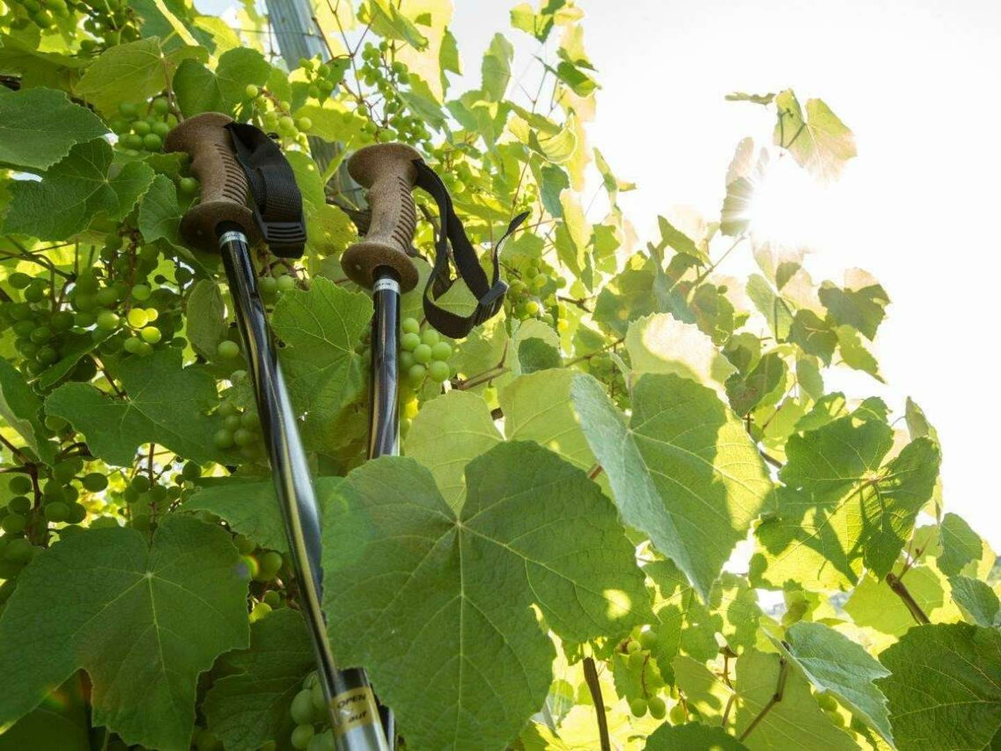 Günstige Auszeit in Loipersdorf – Ihr Wohlfühlplatz zum Entspannen