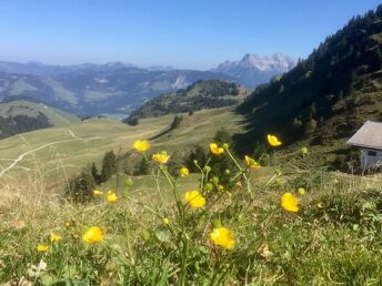 Auszeit in den Kitzbüheler Alpen inkl. Halbpension | 4 Nächte 